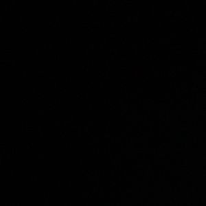 Meet your Posher, Lethicia